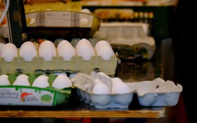 Are We Overdoing Protein?